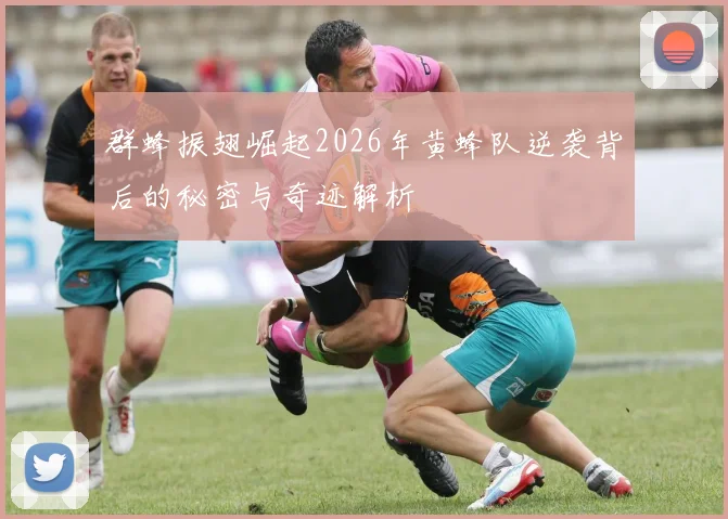 群蜂振翅崛起2026年黄蜂队逆袭背后的秘密与奇迹解析