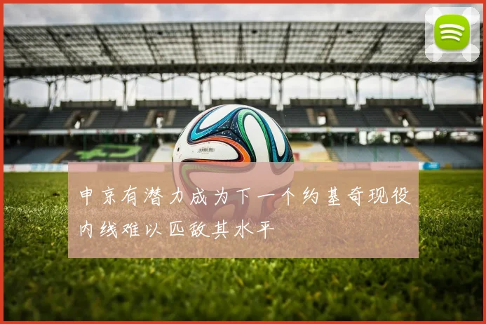 申京有潜力成为下一个约基奇现役内线难以匹敌其水平