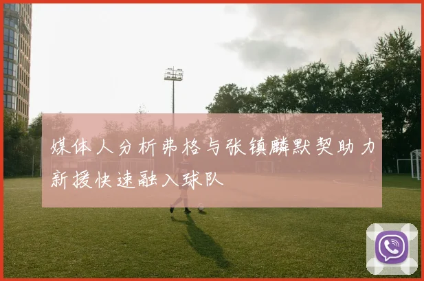 媒体人分析弗格与张镇麟默契助力新援快速融入球队