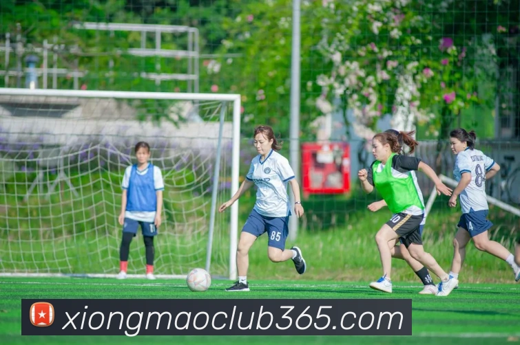 熊猫体育平台生态图