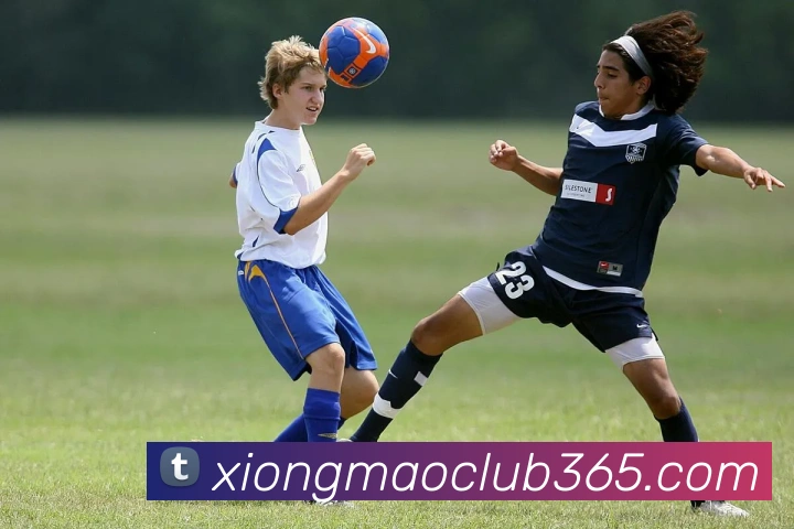 熊猫体育全站App